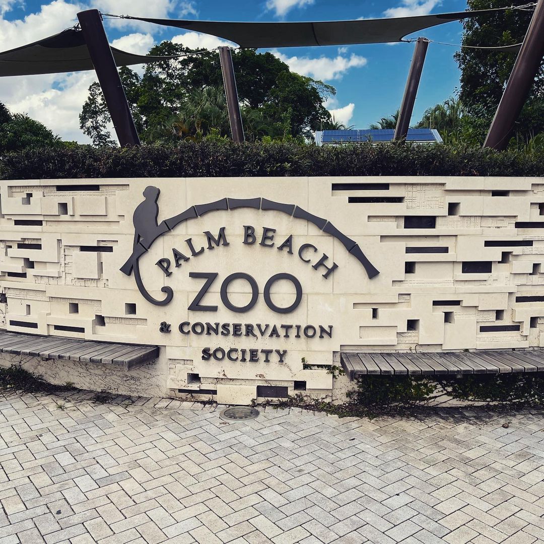 Spending a Day at the Palm Beach Zoo